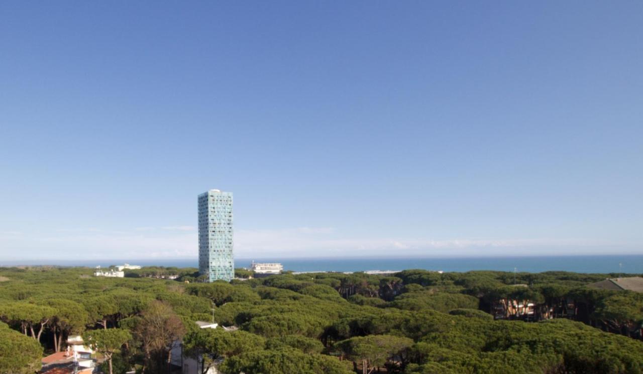 Apartment Pineta - Immobiliare