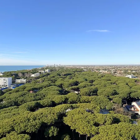 Apartment Pineta - Immobiliare